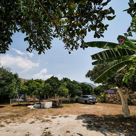 Orchard Retreat Aparthotel Himare Luaran gambar